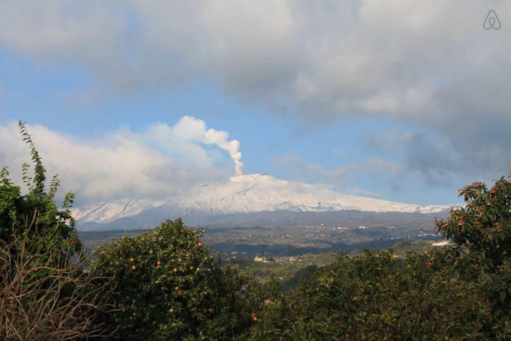 La Zagarella Villa Acireale Dış mekan fotoğraf